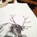 Stag Tote Bag