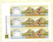 Camping Birthday Water Bottle Labels (girl design) from the DIY Printable Happy Camper Collection by Spaceships and Laser Beams