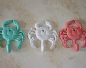 Cast Iron Crab Hook - Beach Decor - PICK YOUR COLOR