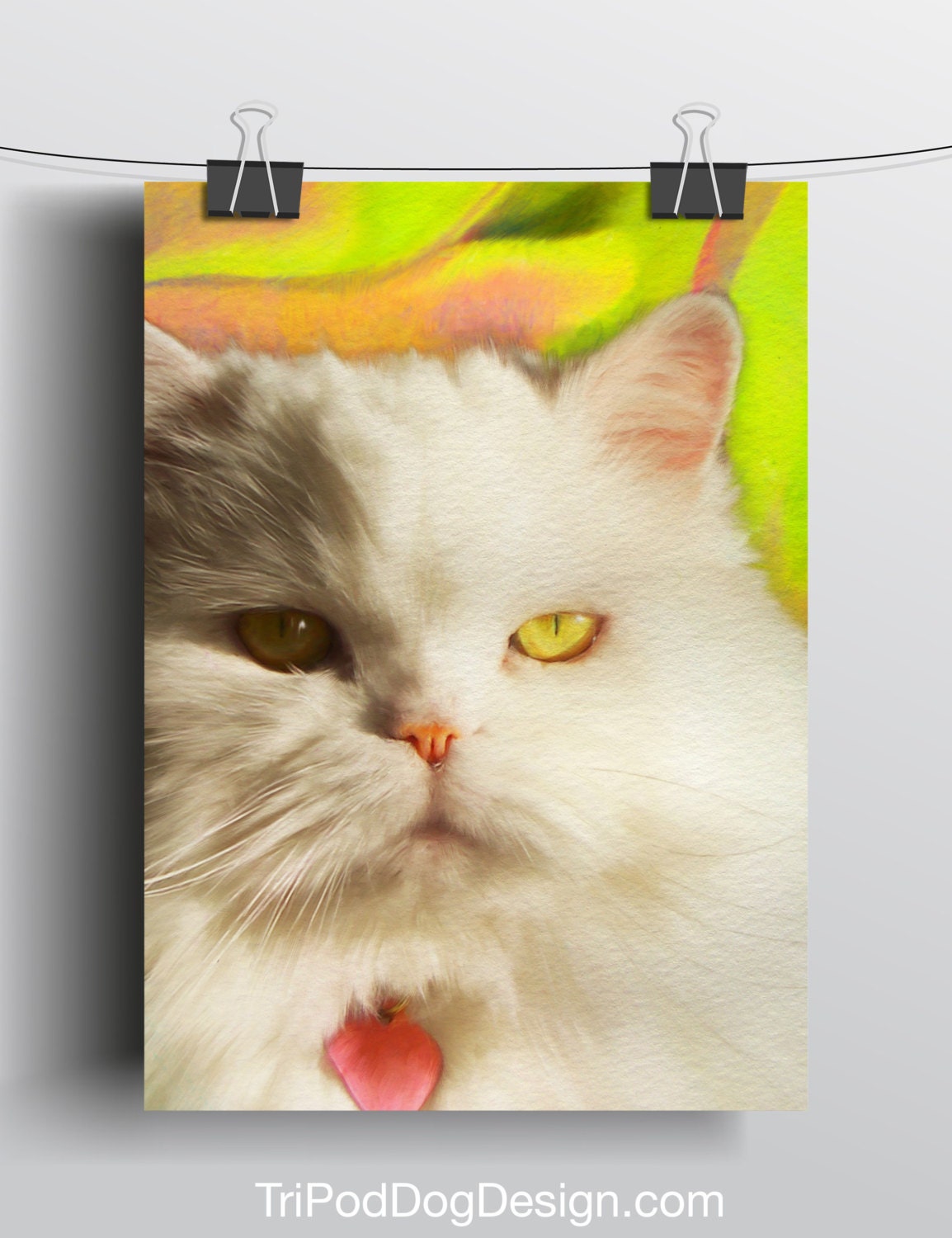 White Cat with Yellow Eyes - 5x7 Giclee print on canvas