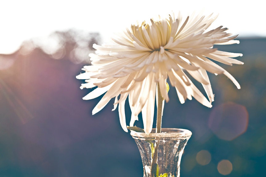 Flower Photography 8 x 12 Print. Still Life, Vintage, Lemon, Flowers, Green, Dreamy, Delicate, Old Vase, Chrysanthemum