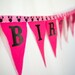 Minnie Mouse Fabric Birthday Party Banner - Bunting - Party Flags