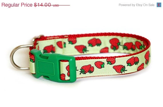 ON SALE Summer Dog Collar - Strawberries on Green - Made to Order