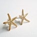 Tiny Starfish Studs, Real Starfish, Small Shell Studs, Beach Earrings, Beach Shell Studs:  Starfish Butts