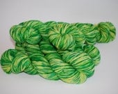 NEW Shamrock Garden:  First-String SW Merino Fingering Wt Yarn 2283
