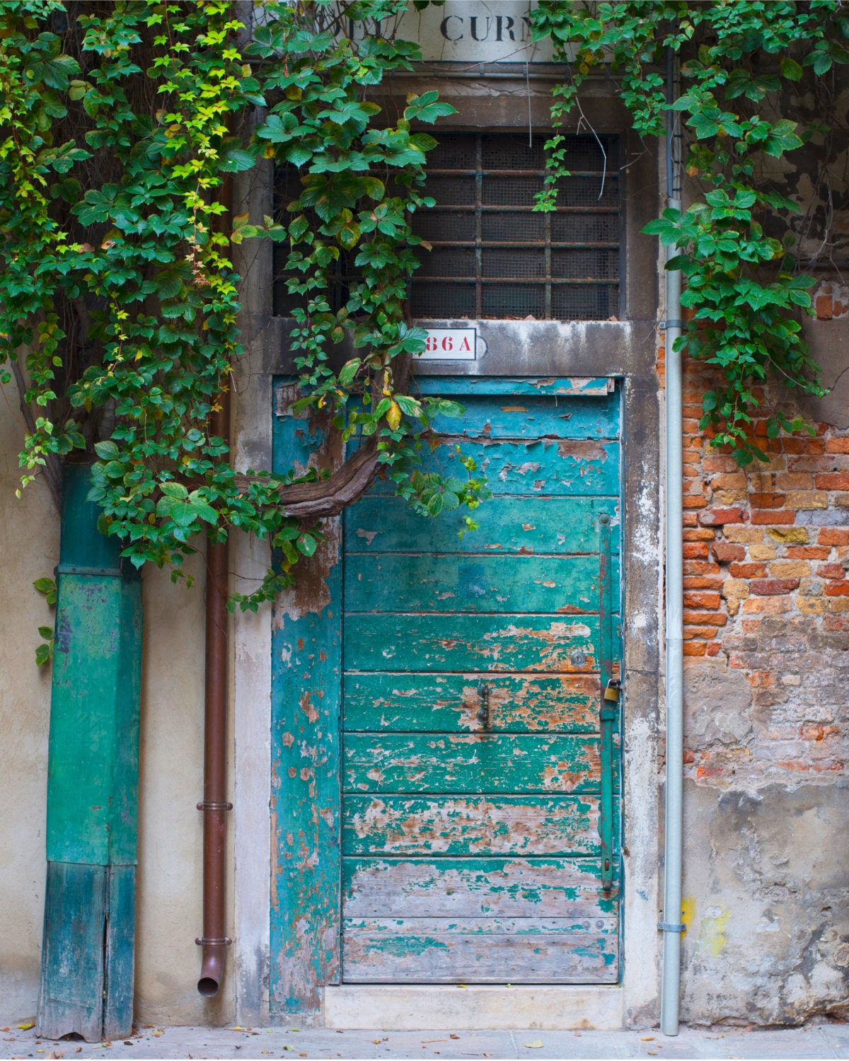 Fine Art Photography, Travel Photography, Venice, Italy, Wall Art, Vintage, Turquoise Door, Ivy, 8x10 Print