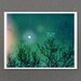 We Are Magic 16x20 / Landscape Nature Photo, LARGE Custom Wedding Poster, Valentines, Anniversary, Romantic Decor, Fantasy, Night Sky, Stars