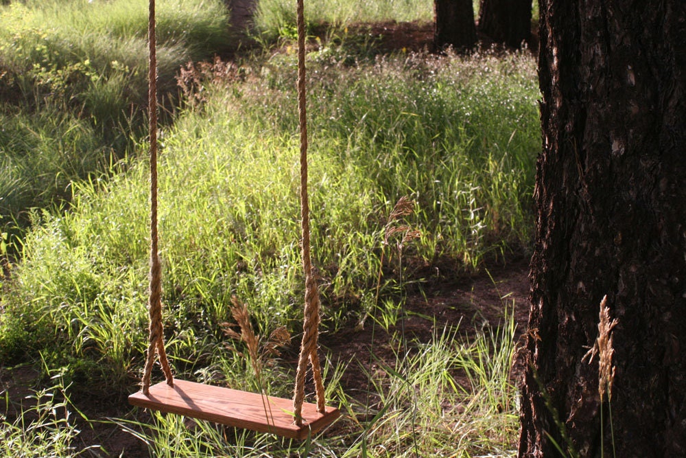 Extra Wide Wood Rope Swing - Made in USA - 25 ft.