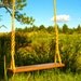 Wood Rope Tree Swing - Garden Swing - 15 ft