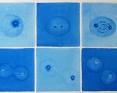 Big Blue Cell Cycle - original watercolor painting
