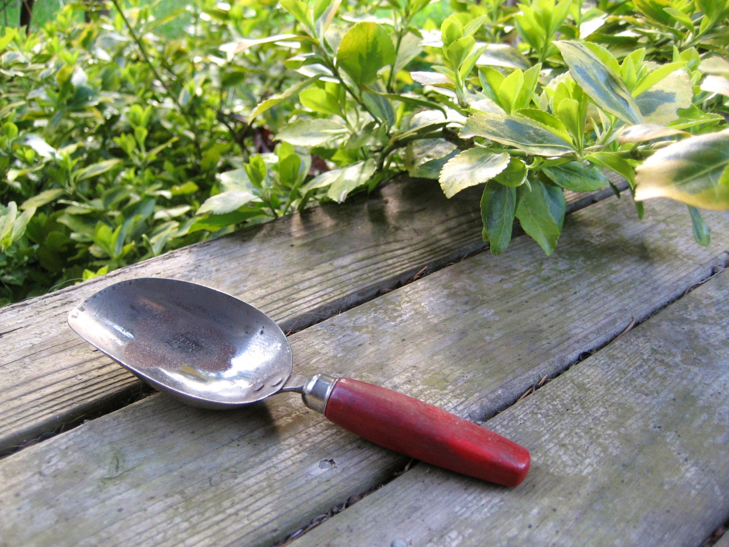 Vintage Kitchen Scoop