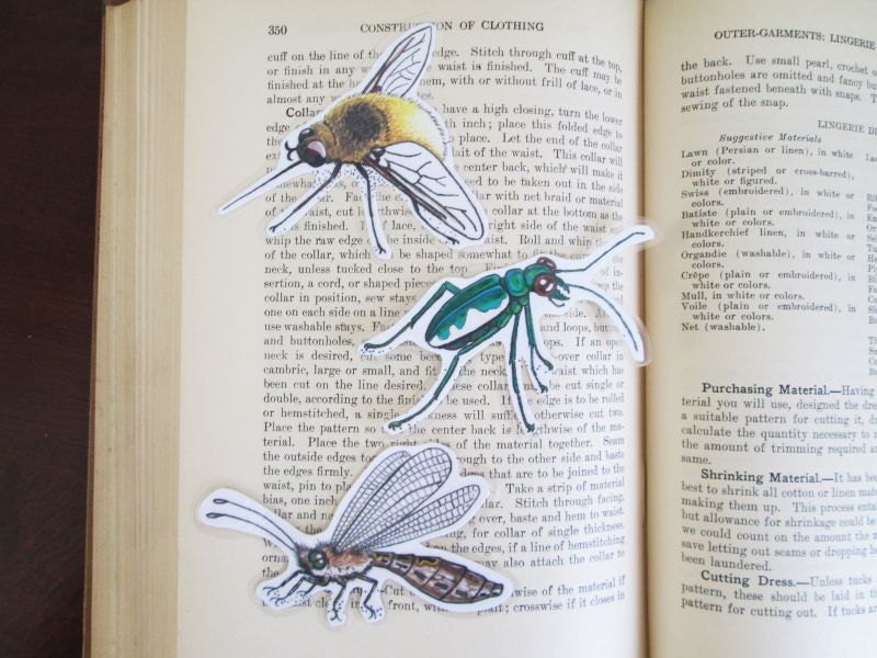 Insect Bookmark - Your Choice of Three - Laminated - Insect Art Print