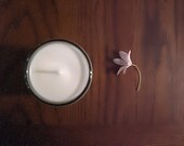 Jasmine Soy Candle by aromacandles - Sultry Seductive Highly Fragrant Container Candle. Floral Spring Summer