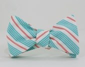 Aqua and Coral Stripe Bow Tie