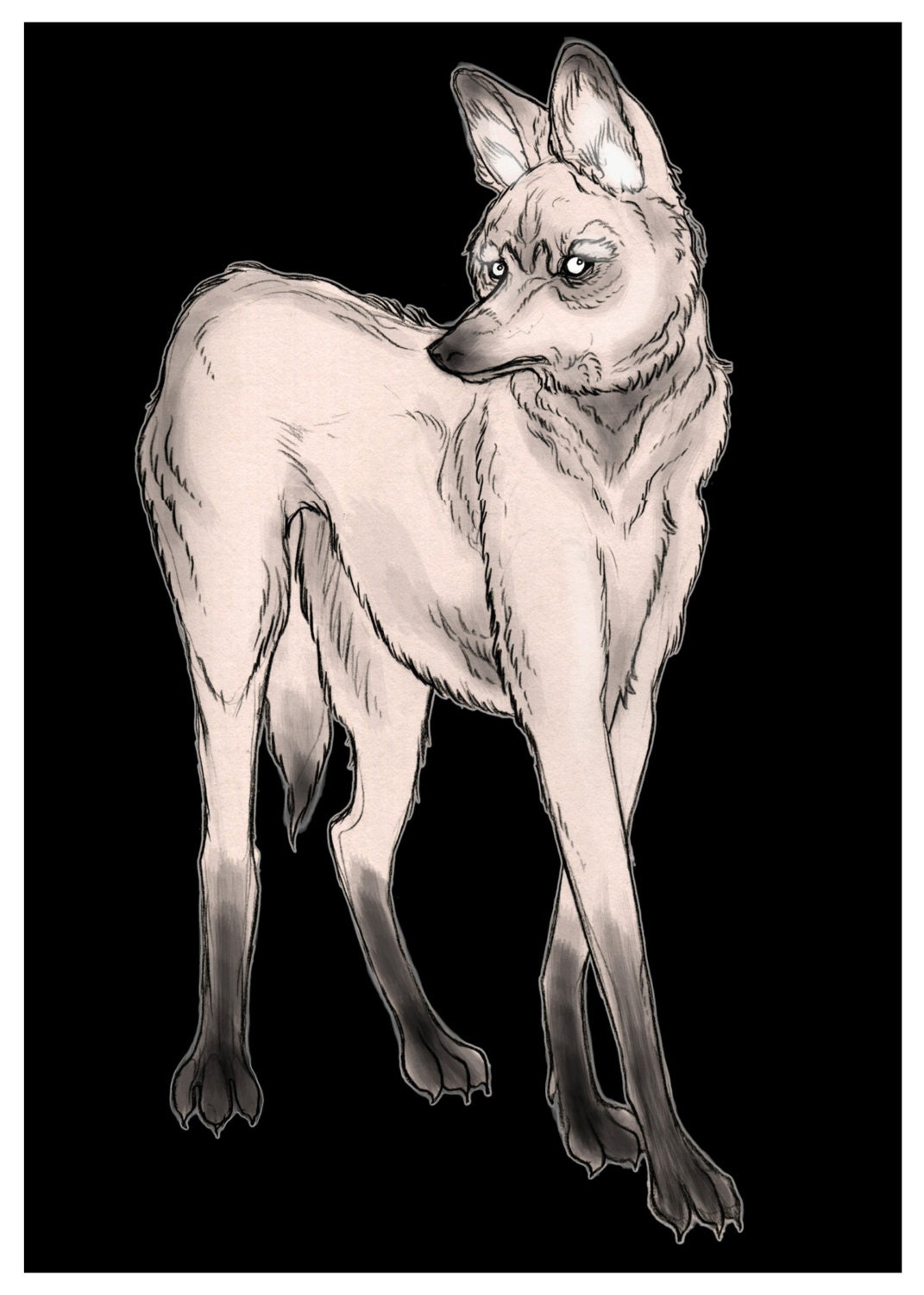 maned wolf postcard print 5 x 7