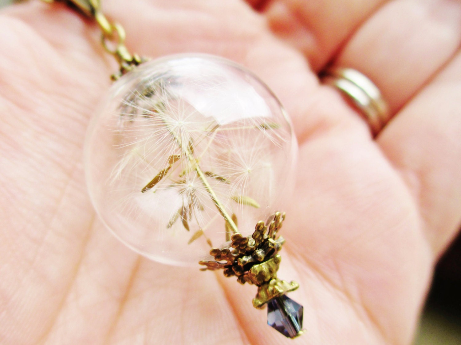 Real Dandelion Seed Glass Orb Necklace In Bronze Medium Orb