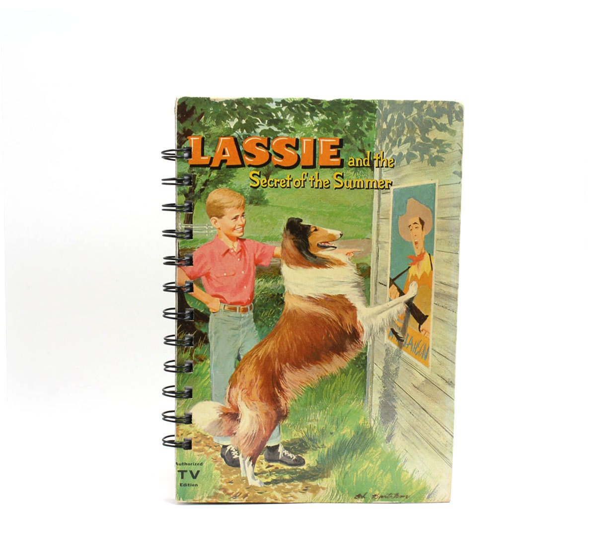 Vintage Book Journal Recycled from Lassie and the Secret of the Summer