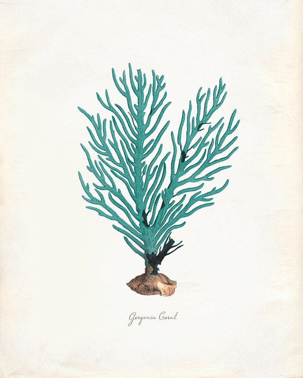 Vintage Green Sage Sea Coral on Antique Ephemera Print 8x10 P275 - OrangeTail