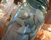 Sunrise & Hope, Sea Specimen V, Vintage Aqua Blue Mason Jar, Sea Patterns and Fossils, Sunrise Tellins, Coral, Jewel Box, ETC