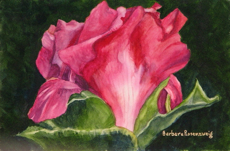 Red Peony Flower 16x20 Canvas Giclee Art Print, Botanical Floral Reproduction of Original Watercolor Painting, Barbara Rosenzweig, Etsy