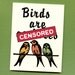 BIRDS ARE A%Holes - Mature & Funny Greeting Card - Put A Bird On It