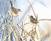 Print of original ,15x11 watercolor of two marsh wrens at sunset, "Friendship"