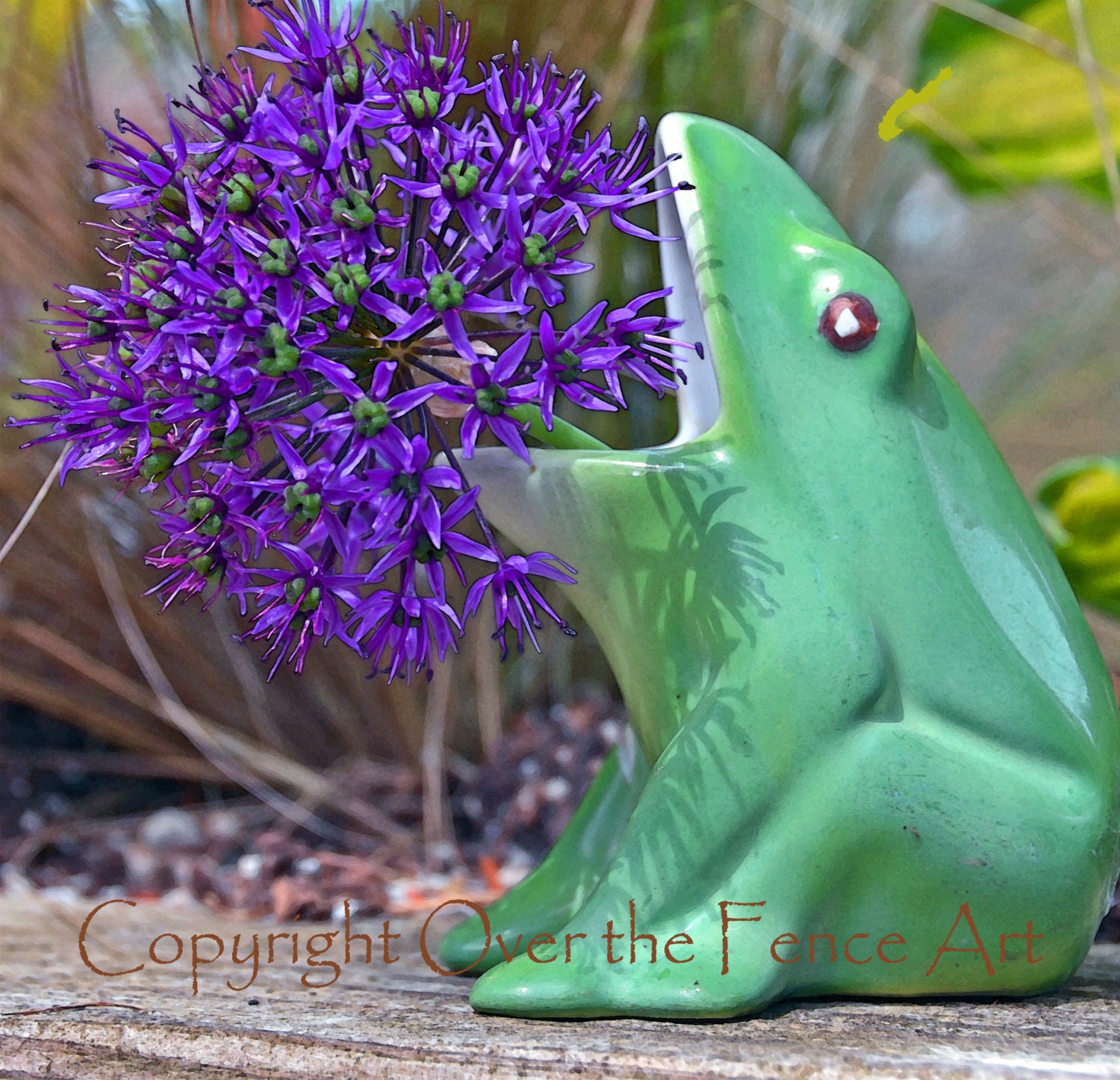 Photography Green Ceramic Frog Vase holds Violet Spring Allium Flower Wall Art/Greeting Card