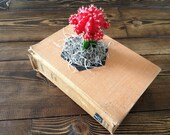 Upcycled Book Planter for Cactus