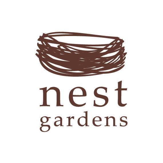 Custom Logo Design: OOAK Logo, Busines Branding with Two Logo Concepts