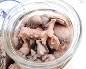 BEACH SHELL SOAP, Coral and Deep Rich Brown, Coconut Pineapple, Vegetable Based, Handmade