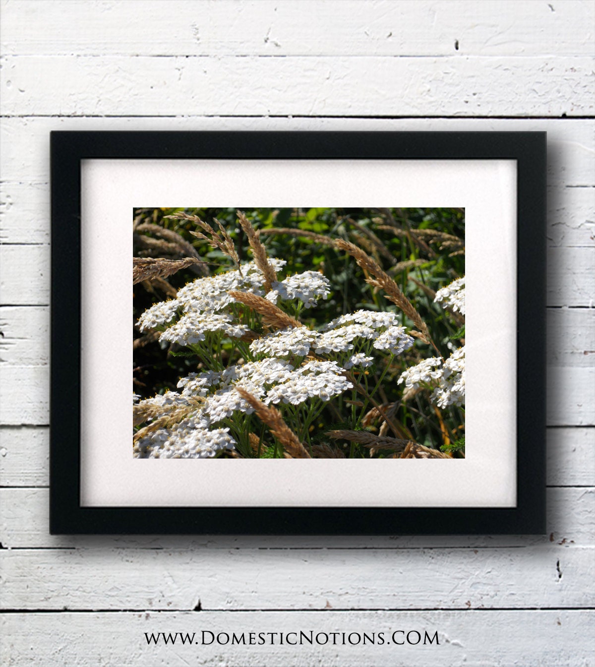INSTANT DOWNLOAD  Fine Art Photograph - Nature Photography - Wild Flowers - 8x10 Photo