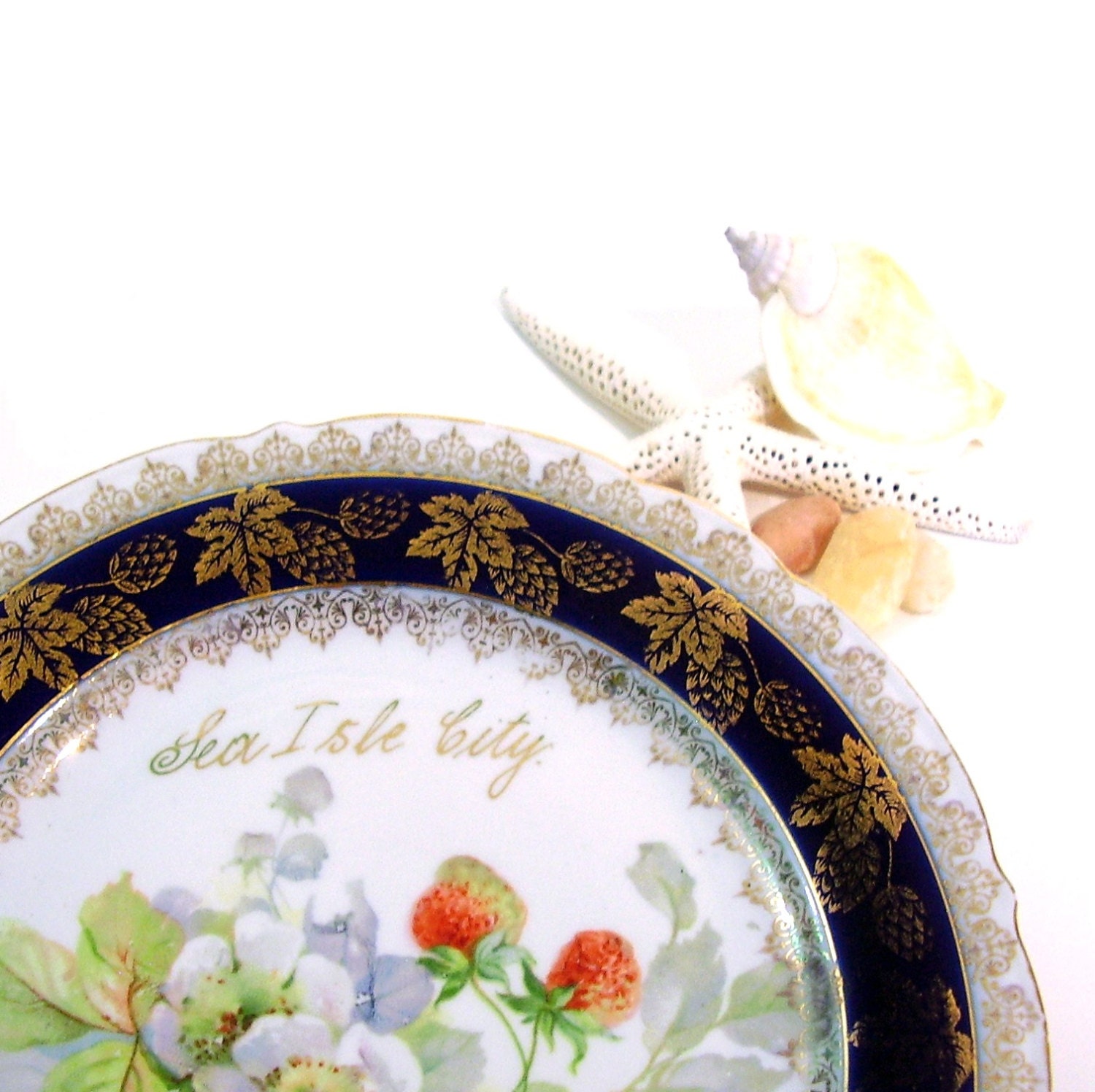 Vintage Porcelain Decorative Plate Antique Botanical Motif