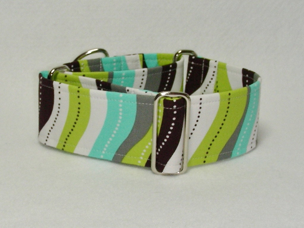 2 Inch Martingale, Greyhound Collar, Curvy Stripes