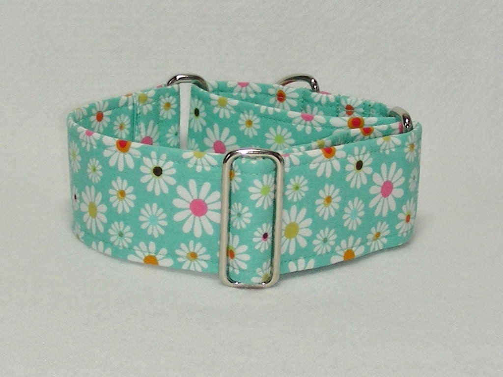 White Daisies on Green, 2 Inch Martingale, Greyhound Collar