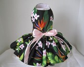 Dog Dress  XS Pink ans Orange  Flower By Nina's Couture Closet
