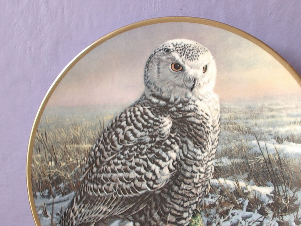 vintage Morning Mist Noble Owl plate, 1986, Hamilton Spode England bird plate, collectible plate