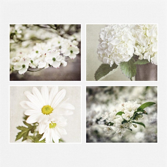 White Flower Picture Set, Cottage Decor, Set of 4 Prints, White Flowers, Spring Decor, 8x10, Blossoms, Cottage Decor.