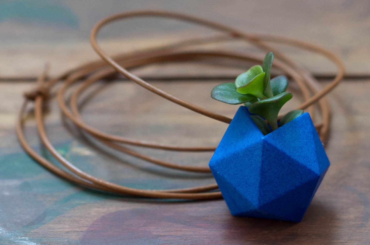 Icosahedron Wearable Planter in Ultramarine