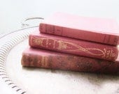 Antique Books Fiction Reference Red & Gold Webster Dictionary Valentines Day Hearts Secrets Shabby French Decor