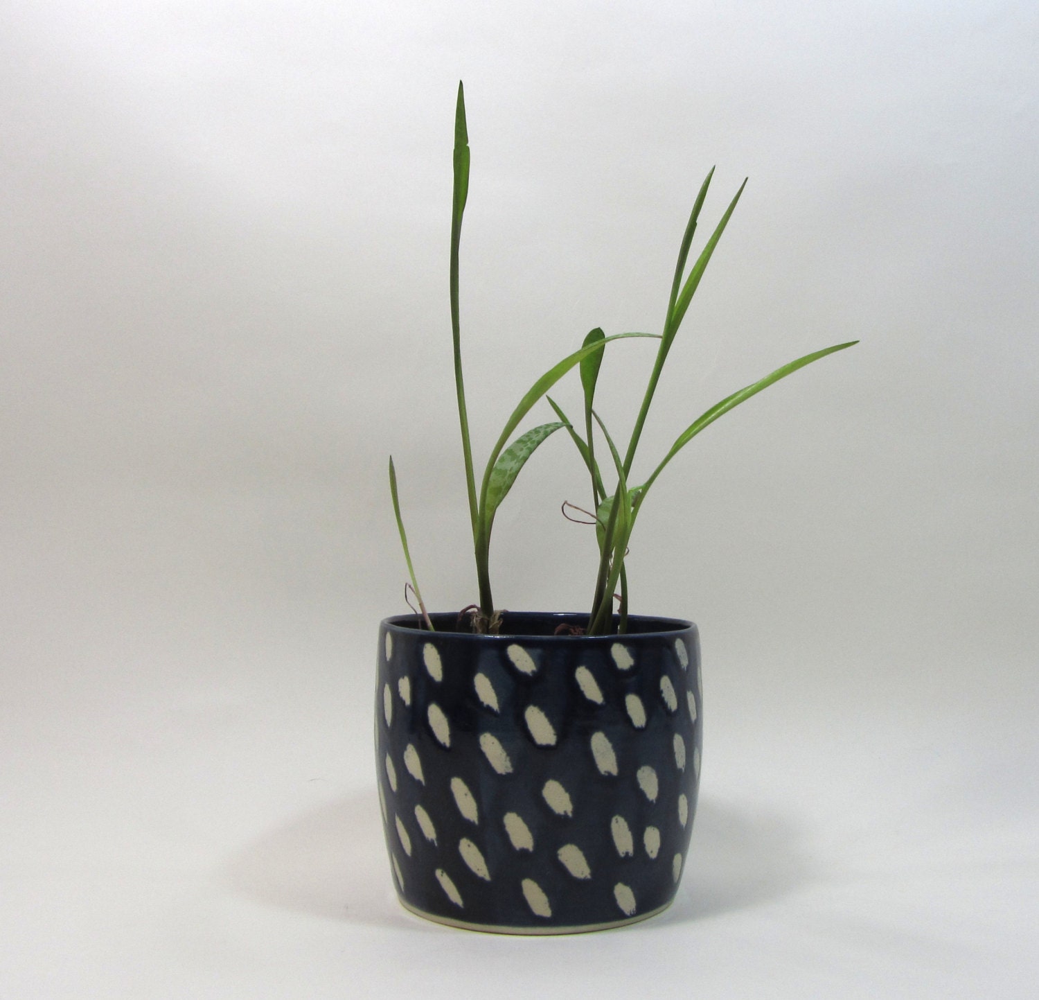 Indigo Vase/Planter with pattern of unglazed dots/lines