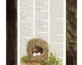 Cute Bird nest 3 print on Book page - Mixed media  art dictionary page printed