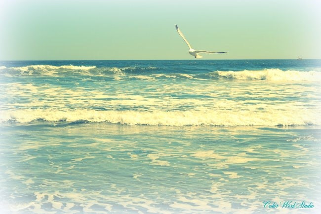 Ocean Photography Seagull New Jersey Shore Beach Waves Aqua Turquoise Home Decor shabby cottage chic sand Sale