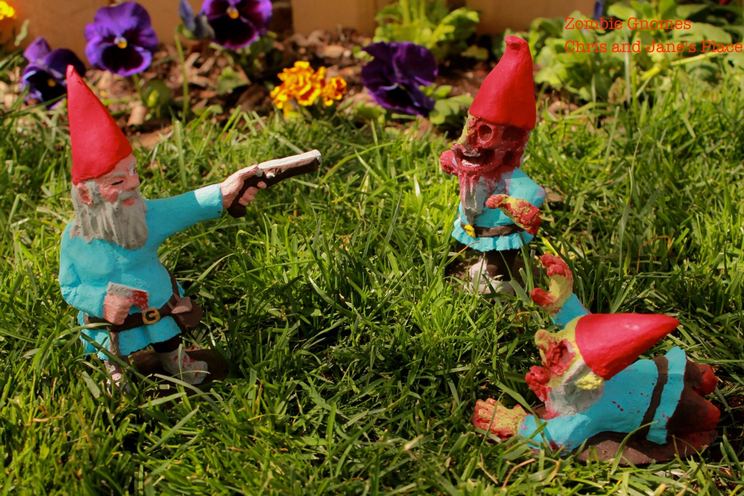 Zombie Gnomes: Collection FREE USA SHIPPING