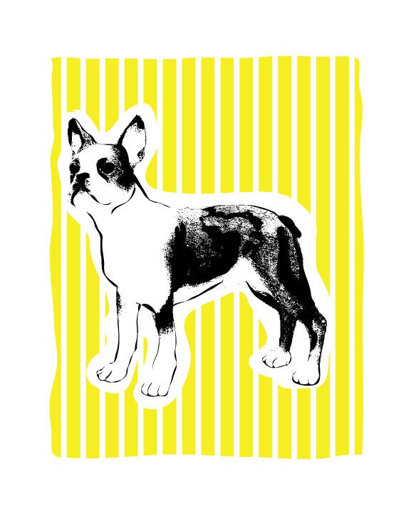 Boston Terrier Art Print  - Hand Printed