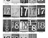 NUMBERS DATES 16-20  BW 4x6 photo number, print only