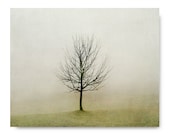 Minimalist Tree Photo, fog, foggy landscape, fine art photography, olive green, rustic home decor, living room decor, foggy, landscape - semisweetstudios