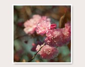 Pink  Cherry Blossom  Print, Spring Flower Photography, cherry blossom photo, spring, flower photo, for her - semisweetstudios