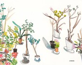 Potted Plants Painting