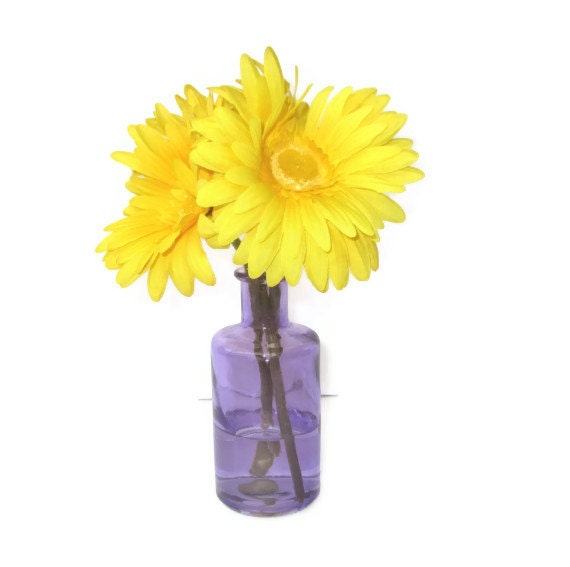 Three Yellow Daisies In A 6 Inch Purple Glass Vase With Acrylic Water