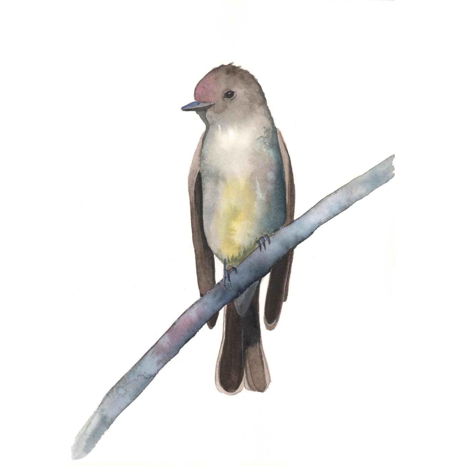 Bird Watercolor painitng- Fly Catcher- ORIGINAL watercolor painting- A5